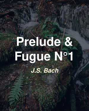Prelude and Fugue N°1 - J.S. Bach